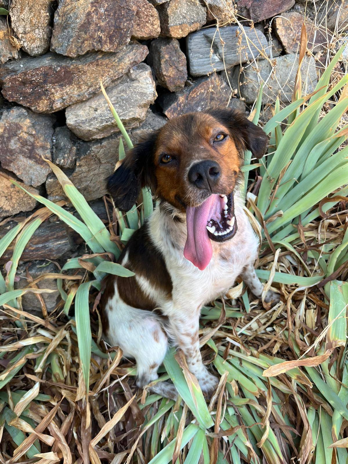 Julio Julio